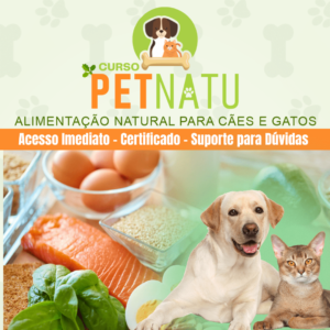 alimentacao saudavel gato cachorro, curso alimentacao pet